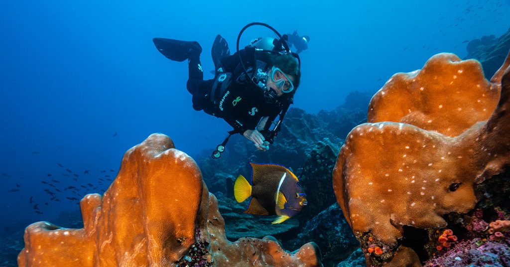 Τα ρολόγια που άφησαν ιστορία στον κόσμο των καταδύσεων