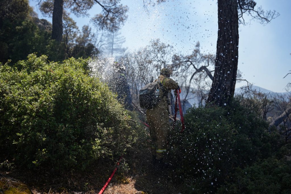 Αγρίνιο: Φωτιά σε δασική έκταση στην περιοχή Κρεμαστά