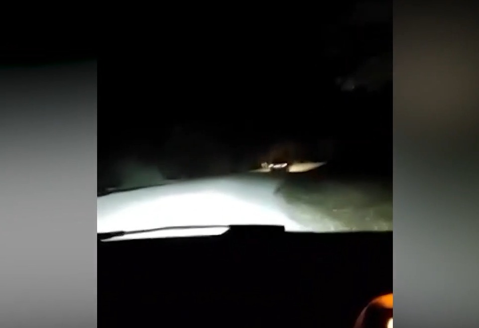 Έβρος: Βίντεο από επεισοδιακή καταδίωξη συνοριοφυλάκων – διακινητών