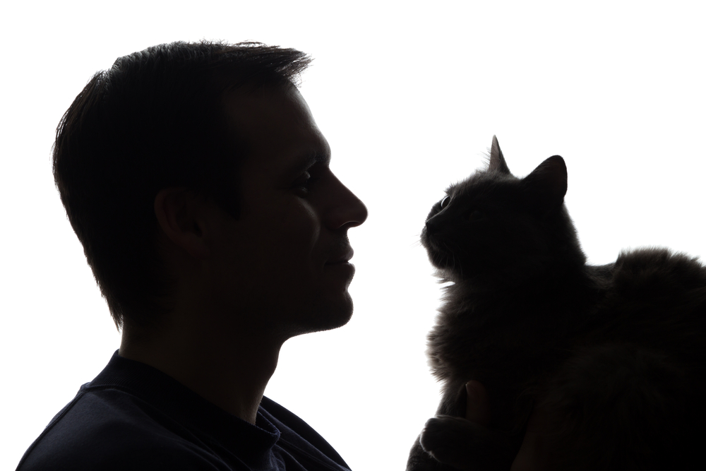 Βούλα: 37χρονος σκότωσε γάτα με λοστό γιατί ήταν στην αυλή του – Συνελήφθη