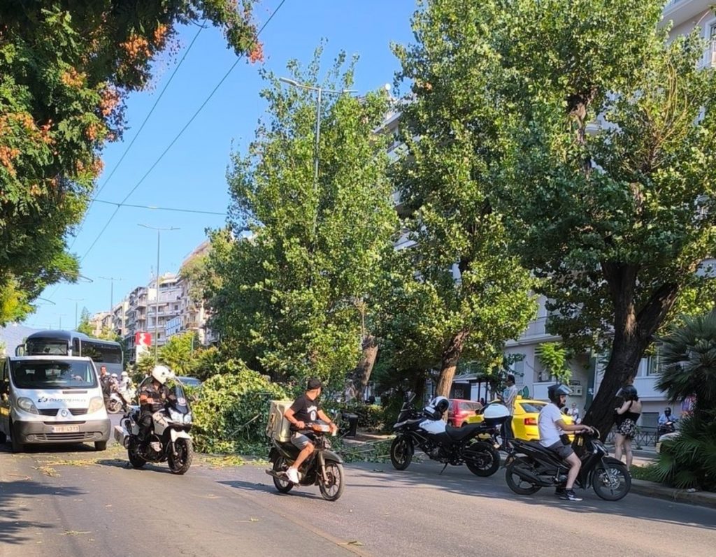 Έπεσε δέντρο στη Λεωφόρο Αλεξάνδρας – Με δυσκολία η κυκλοφορία των οχημάτων