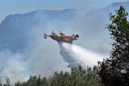 Ηλεία: Φωτιά στην Ανάληψη – Επιχειρούν 5 εναέρια μέσα