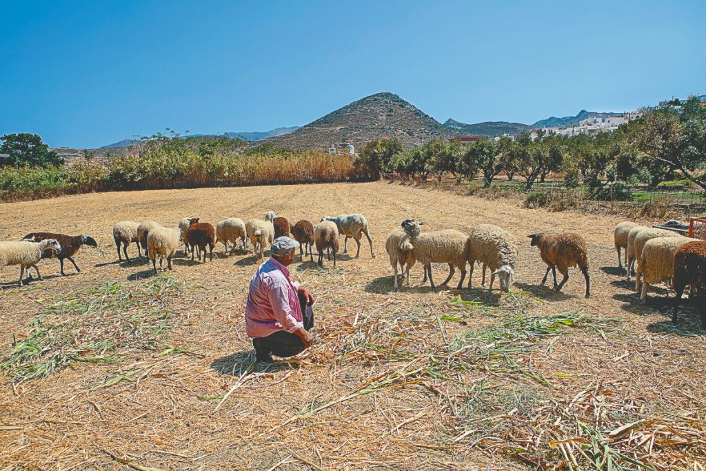 Η πανώλη τρομάζει και εξαπλώνεται