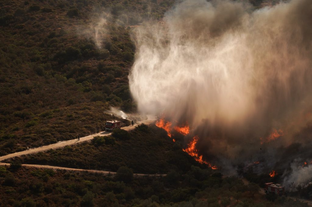 Φωτιά τώρα στο Φυτόκο Μαγνησίας