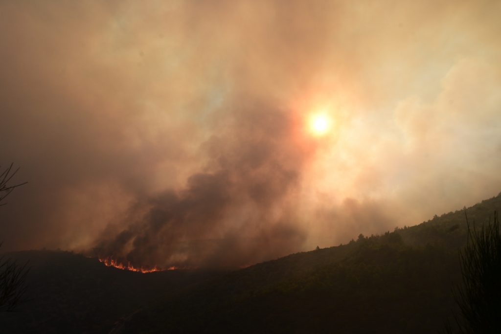 Φωτιά τώρα στα Καλύβια – Συναγερμός στην Πυροσβεστική