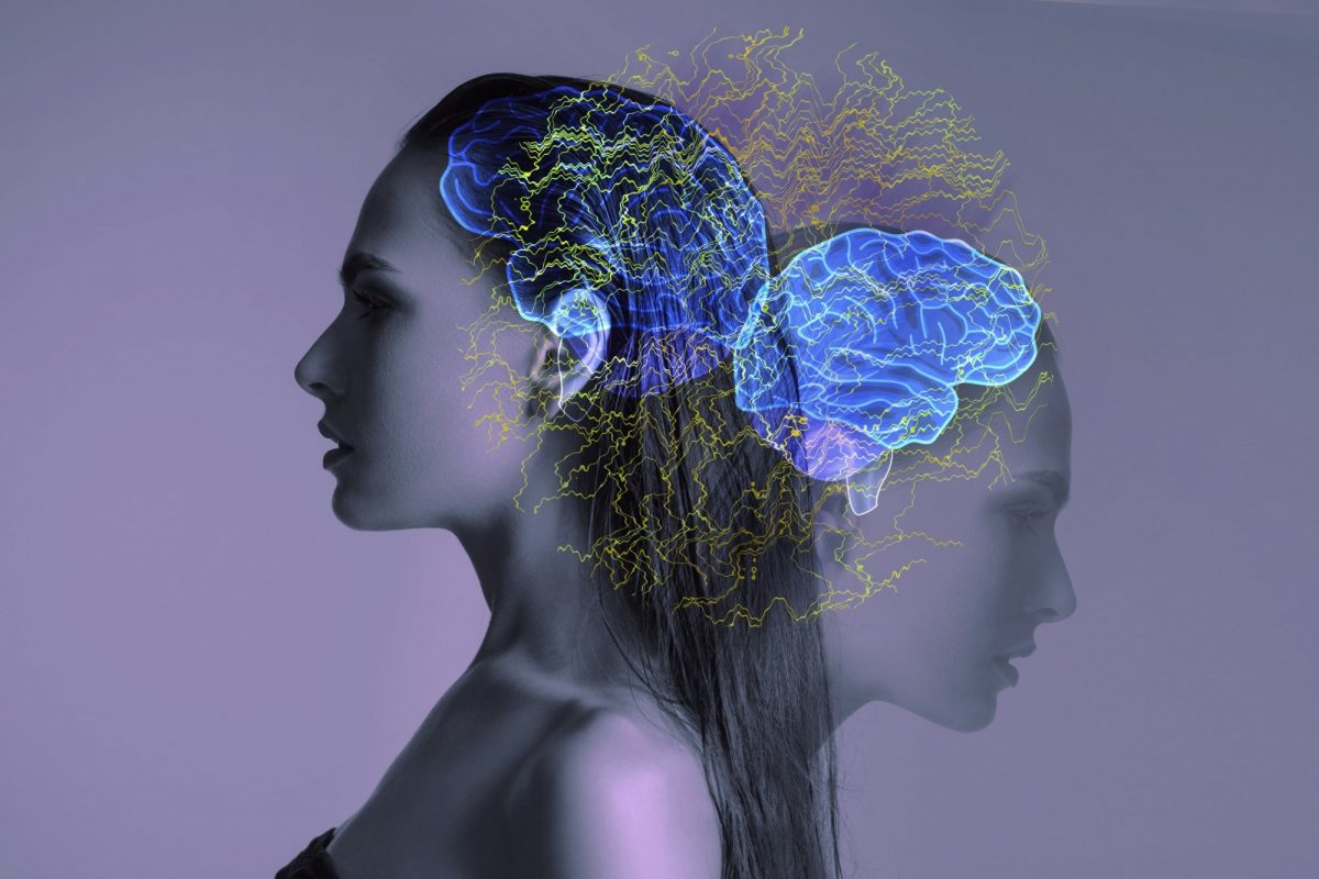 Μια ξενάγηση στα μυστήρια του εγκεφάλου