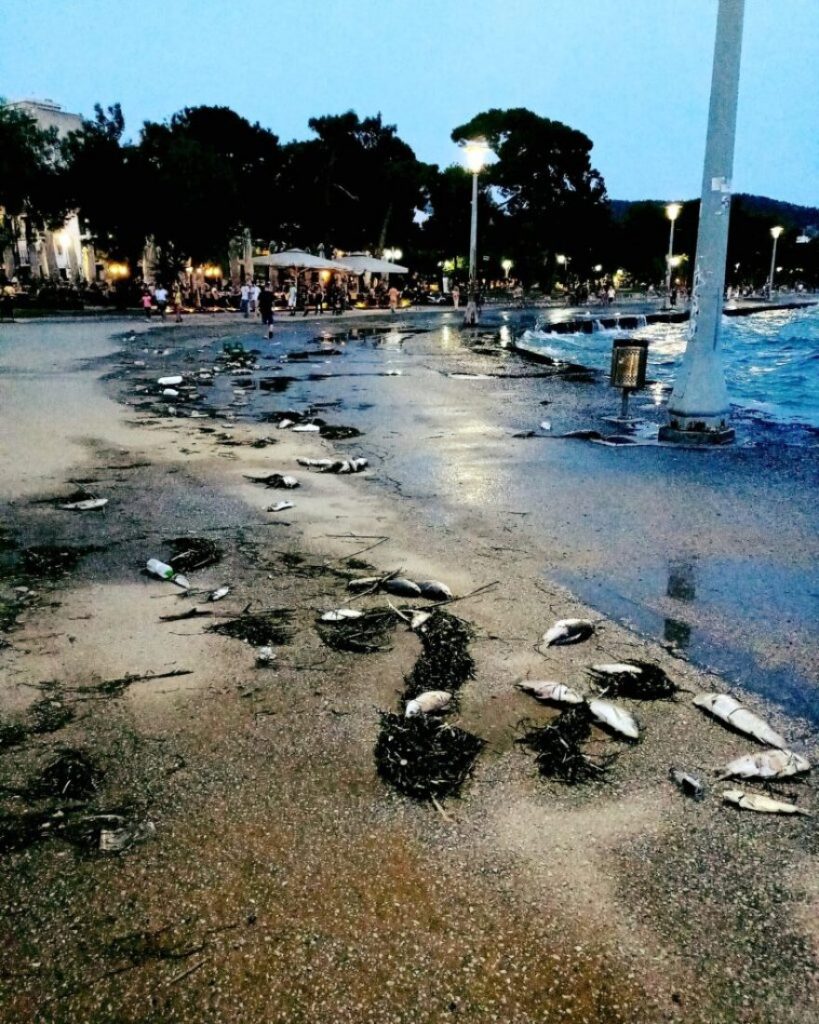 Γιάννης Κουτεντάκης: Κατασπατάληση νερού από την Κάρλα, στη μάχη με τη λειψυδρία;