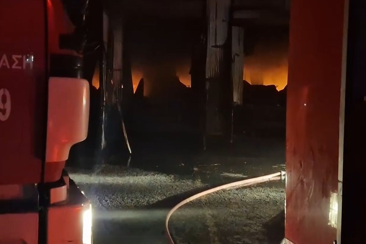 Vegan ανέλαβαν την ευθύνη μιας φωτιάς που δεν ήταν εμπρησμός