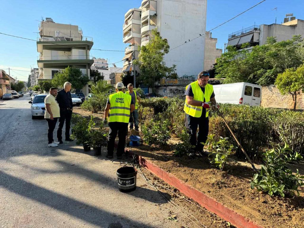 Παλαιά Κοκκινιά: 140 Νέα Δέντρα στην Πλατεία Αγίων Αναργύρων από το Δήμο Πειραιά
