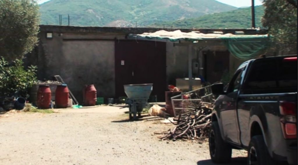 Ρέθυμνο: Νέα στοιχεία για την επίθεση στον 69χρονο κτηνοτρόφο – Πού στρέφονται οι έρευνες των αρχών