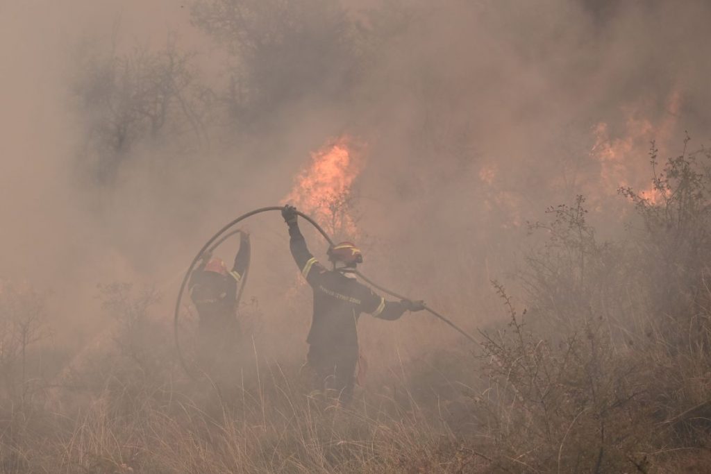 Φωτιά τώρα στη Φθιώτιδα – Μεγάλη κινητοποίηση της πυροσβεστικής