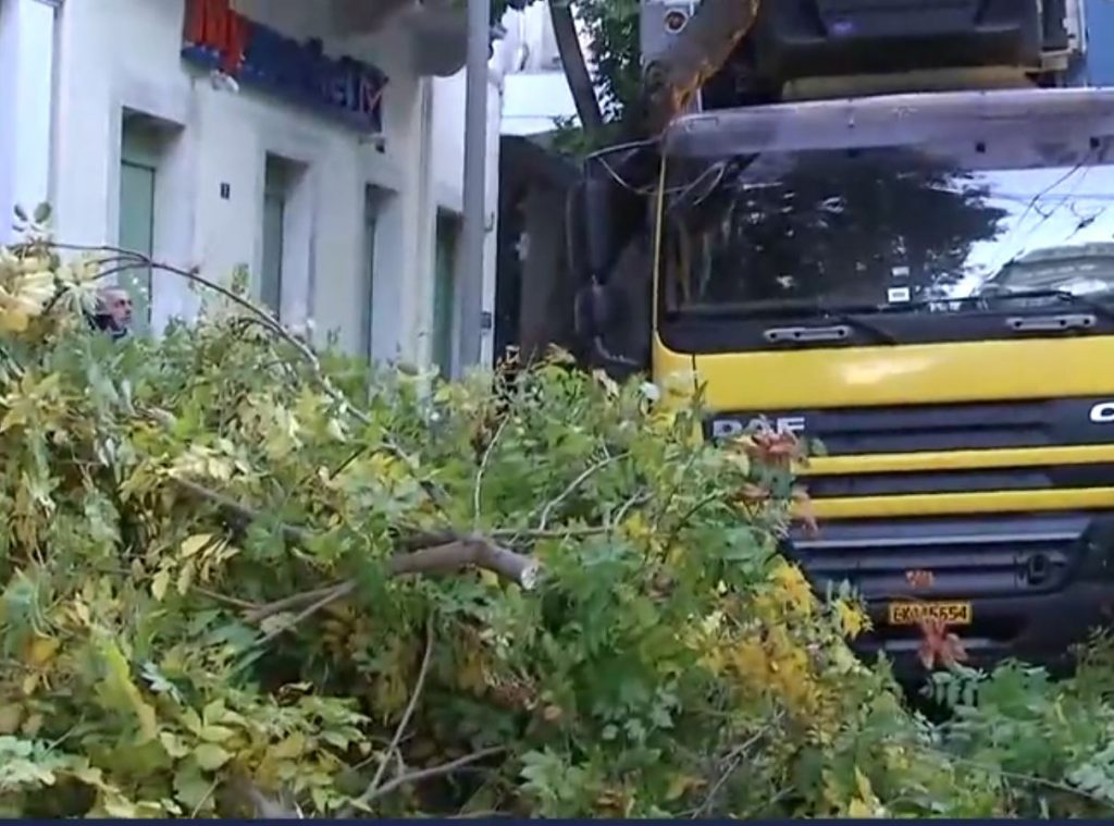 Πατησίων: Διακοπή κυκλοφορίας – Δέντρο βρέθηκε καταμεσής του δρόμου – Τι συνέβη