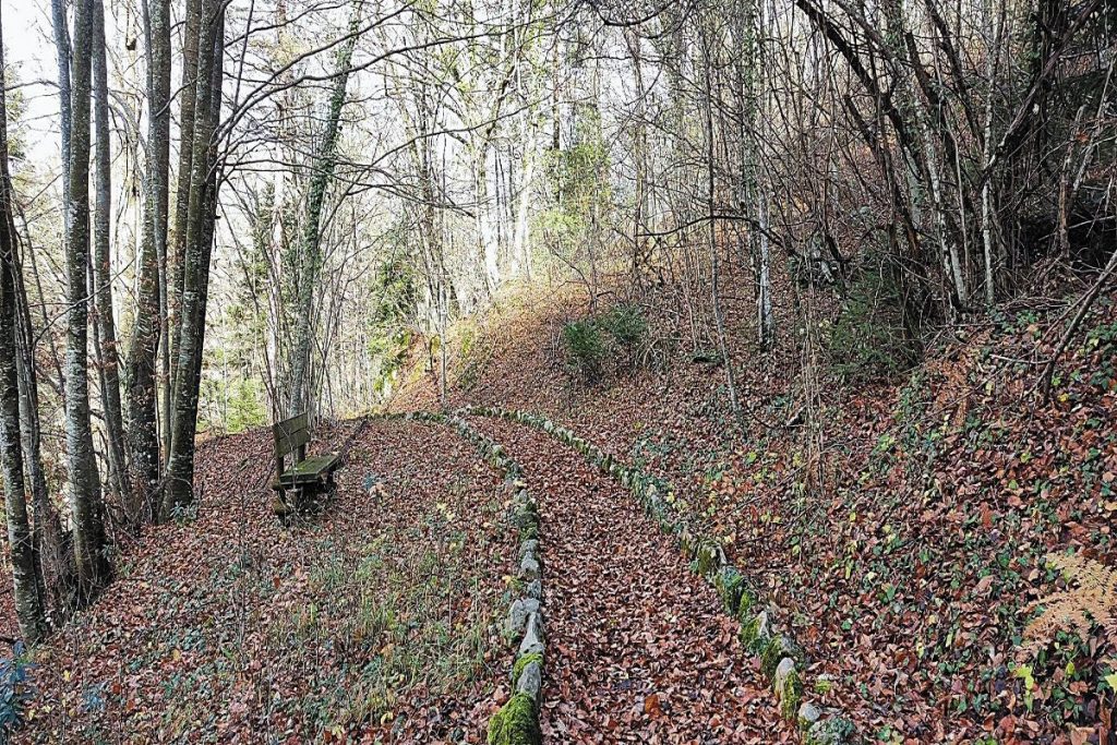 Αειθαλής ασπίδα, αειφόρος προσφορά
