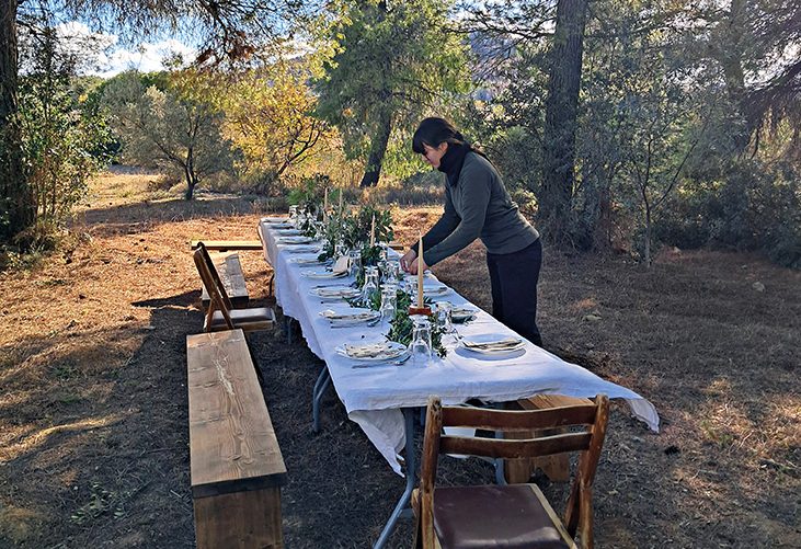 Μαγειρέματα στη φύση: Μια παρέα στρώνει τραπέζια κάτω από πεύκα και ελιές