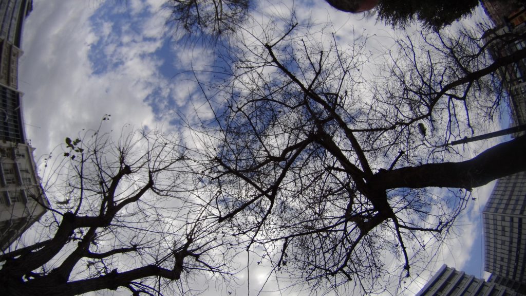 Ο καιρός της Κυριακής: Πού θα πέσουν βροχές και καταιγίδες – Η πρόβλεψη ως την Πέμπτη