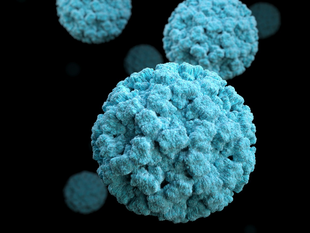 Με νοροϊό 35 μαθητές από την Αθήνα που επισκέφτηκαν τα Χανιά