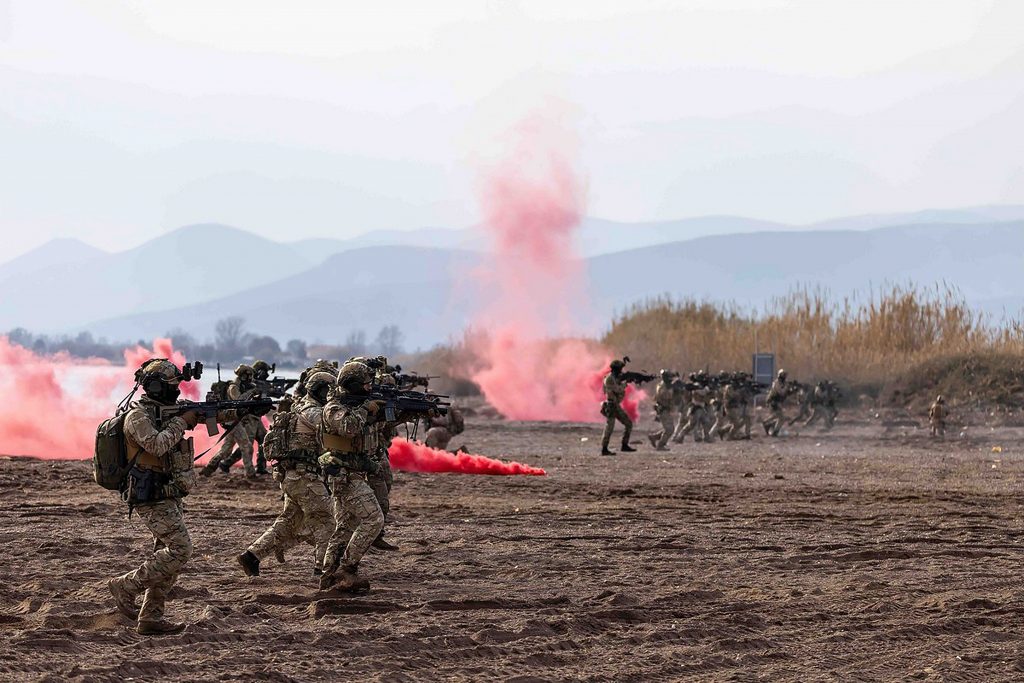 ΓΕΕΘΑ: Εντυπωσιακές εικόνες από τη Media Day της άσκησης «Steadfast Dart 25»