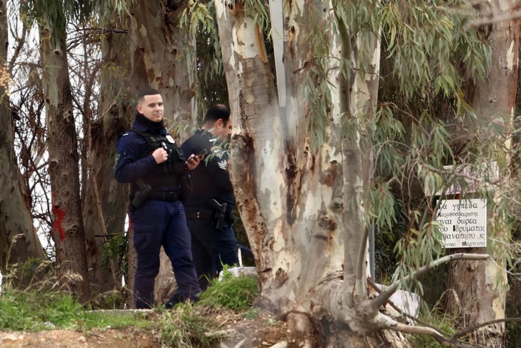 Δαφνί: ΕΔΕ για τη δολοφονία της 44χρονης
