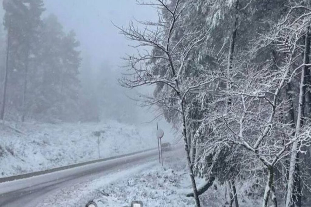 Κακοκαιρία Coral: Πυκνή χιονόπτωση στην Εύβοια – Πού θα κλείσουν σχολεία