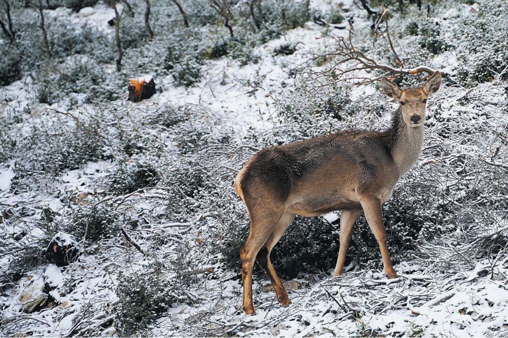 Εγκυκλοπαιδικές άγνοιες