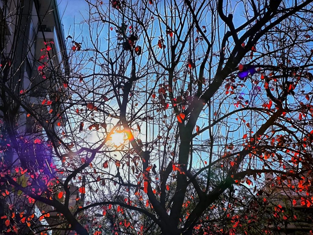 Καιρός: Ανατροπή στη θερμοκρασία – Η πρόβλεψη Τσατραφύλλια