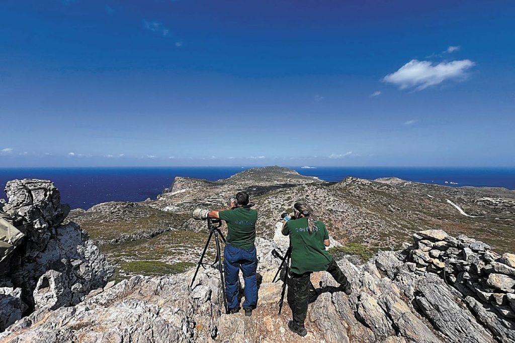 Natura μόνο στα λόγια…