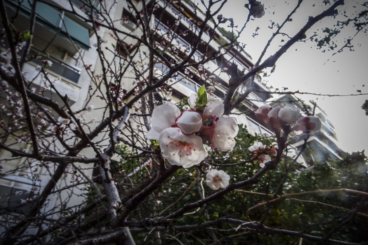 Καιρός – Μαρουσάκης: 26 βαθμοί και μετά «χειμερινή φωτοβολίδα»