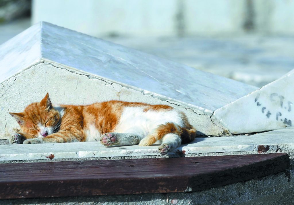 Ο καλύτερος ποιητής της χειρότερης γενιάς