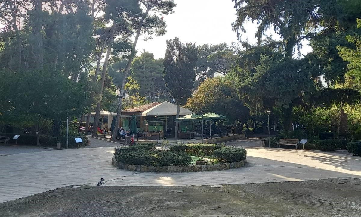 Πνεύμονας πρασίνου, πολιτισμού και αναμνήσεων