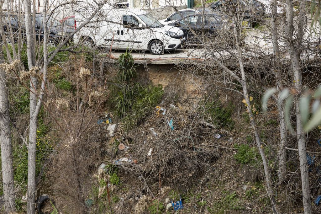 Πικροδάφνη: Πώς το 2025 θα καθορίσει το μέλλον του ρέματος