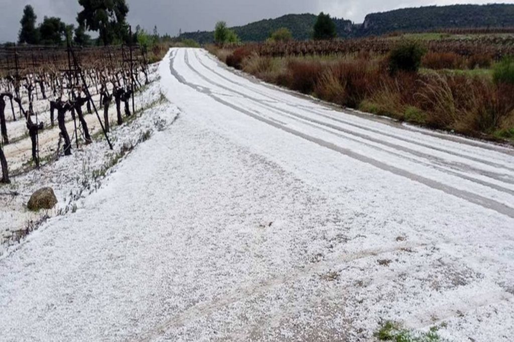 Μετά τον παγετό το χαλάζι: Σοβαρές ζημιές στην Κορινθία