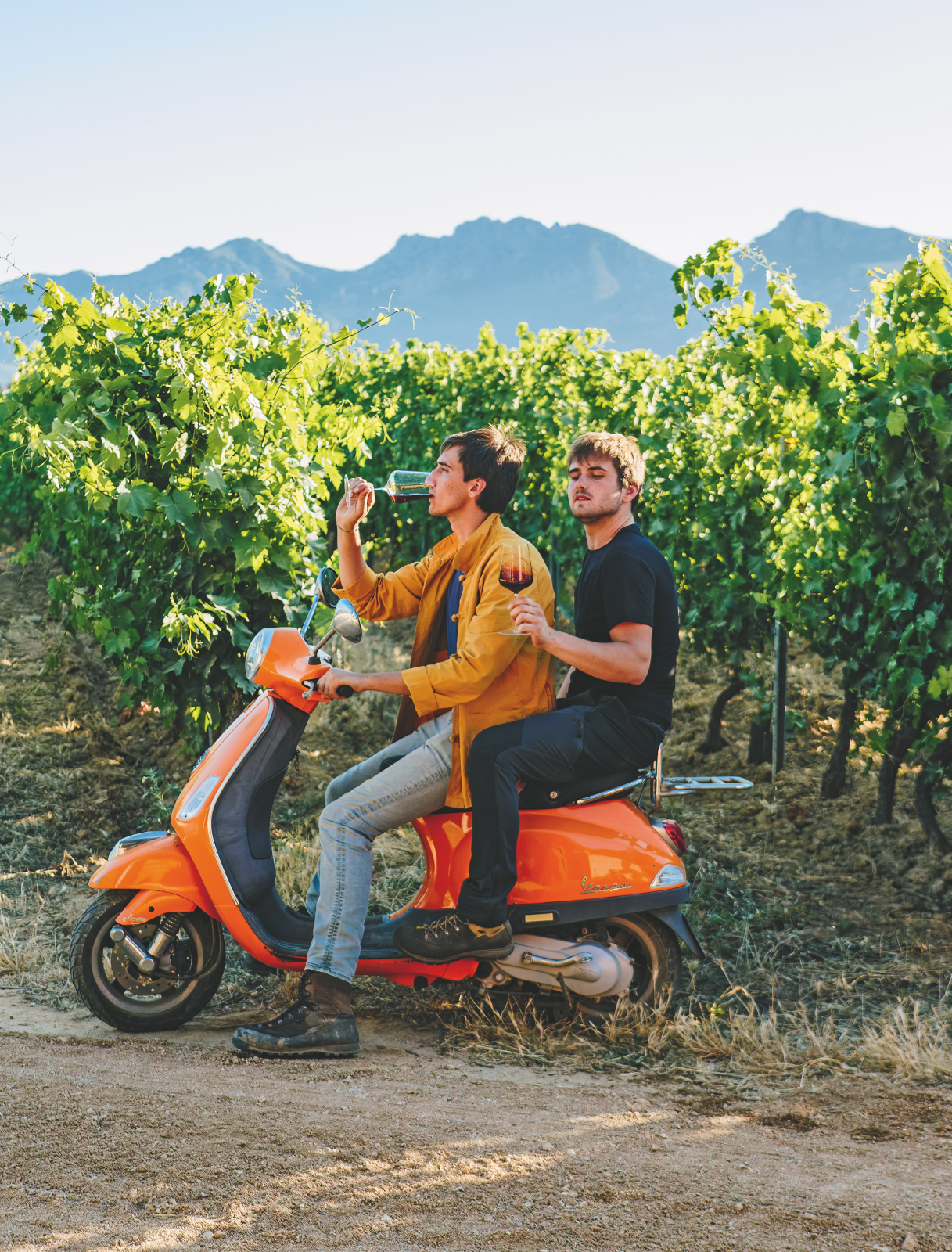 Μαθαίνοντας την τέχνη της απόλαυσης του κρασιού