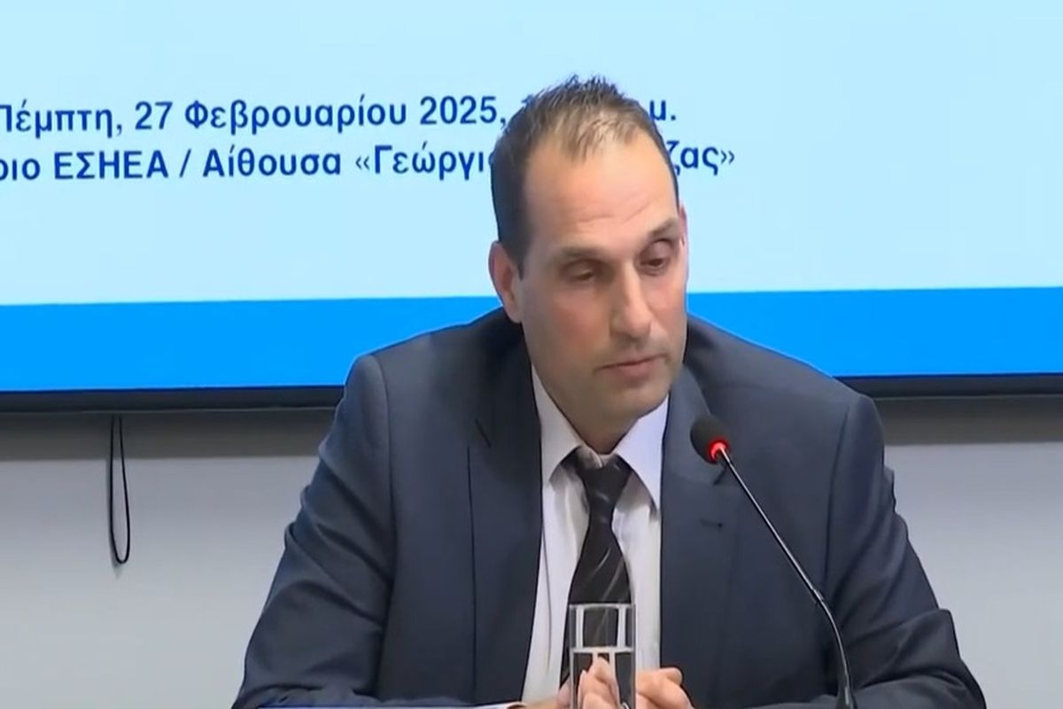 Παπαδημητρίου: «Με ενόχλησε που κατηγορήθηκα ότι παλινωδώ» – Πρώτες δηλώσεις μετά την παραίτηση