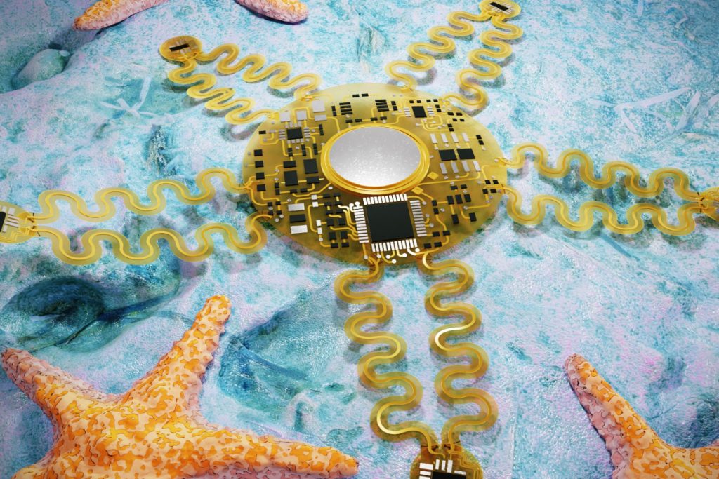 Καρδιογράφημα από «αστερία»