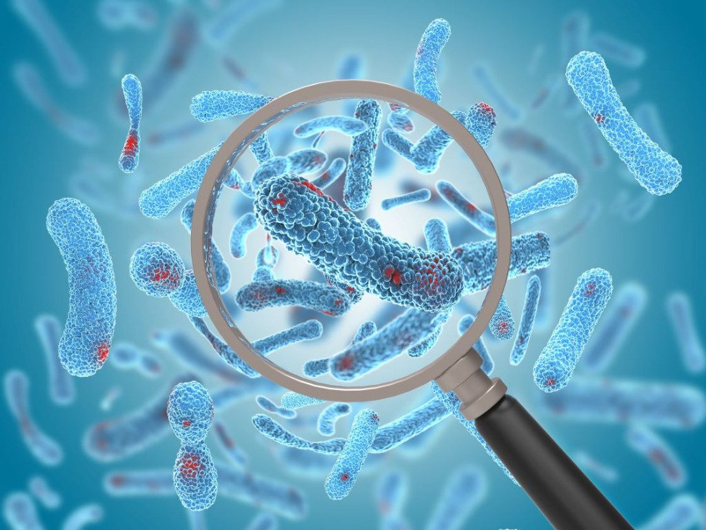 «Εξωγήινοι» κατοικούν στο στομάχι μας;