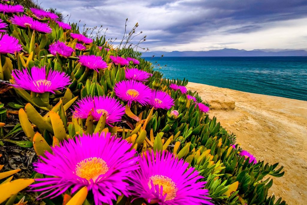 Η περιοχή που χτύπησε 30°C τη Μεγάλη Πέμπτη – Πού θα φτάσει ο υδράργυρος τις επόμενες μέρες