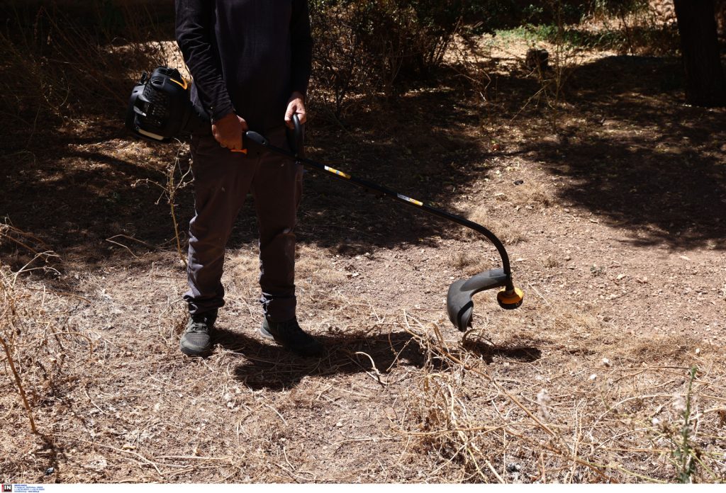 Αυτό το οικόπεδο ποιος θα το καθαρίσει;