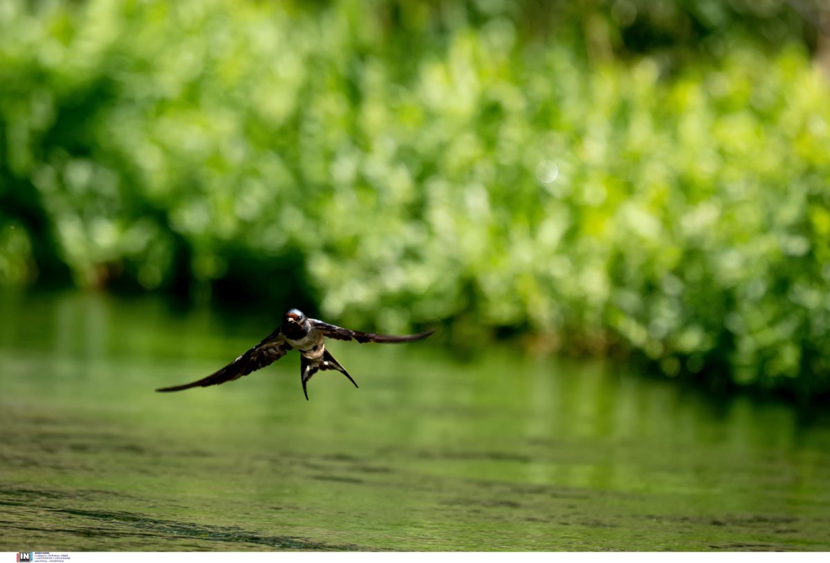 Οι παιδικοί ήρωες ζουν για πάντα