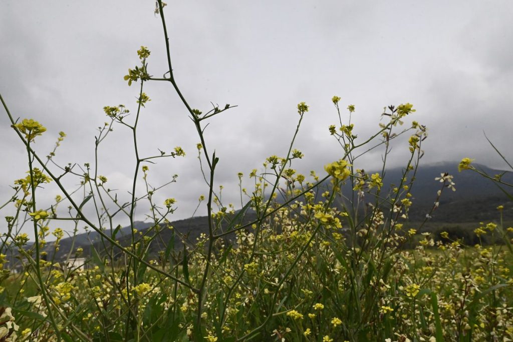 Καιρός: Πού θα βρέξει, πού θα έχει 25άρια