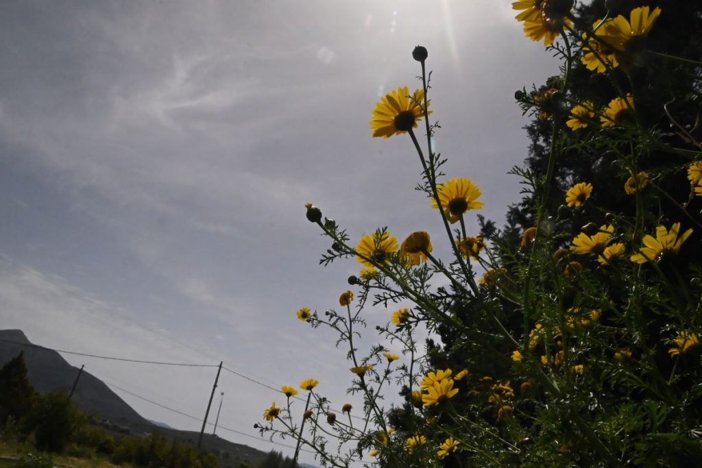 Καιρός: Κοκτέιλ αφρικανικής σκόνης και υψηλών θερμοκρασιών – Πού θα ρίξει λασποβροχές
