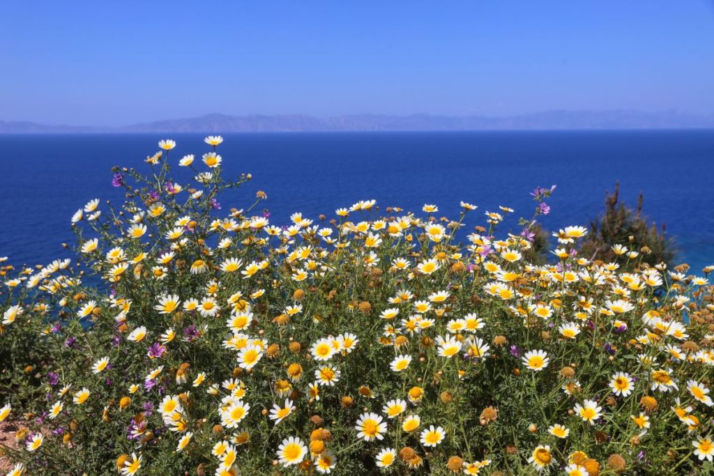 Καιρός: «Λιβανέζικος καύσωνας» και 35άρια – Οι δύο εξάρσεις