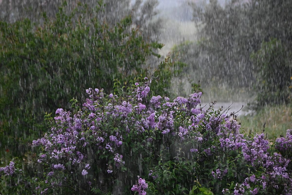 Καιρός: Βροχές και πτώση θερμοκρασίας – Οι περιοχές που θα επηρεαστούν
