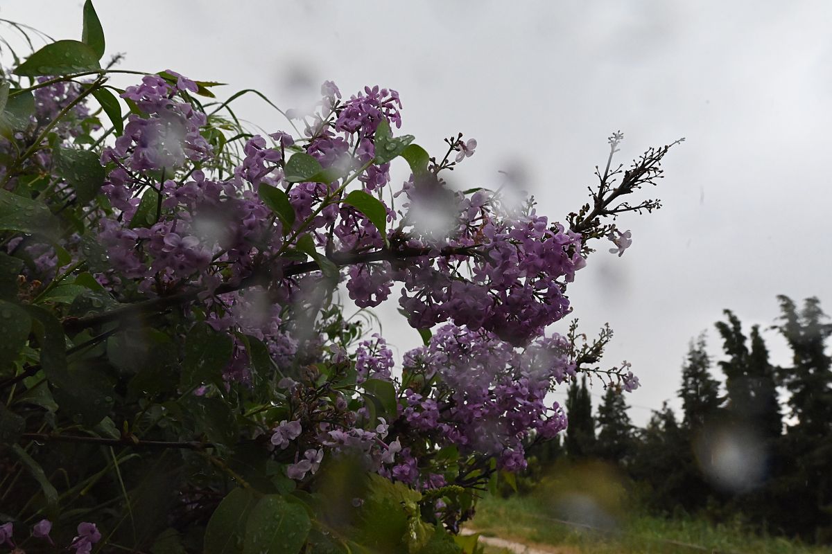Κακοκαιρία INES: Οι περιοχές που θα χτυπήσει τις επόμενες ώρες