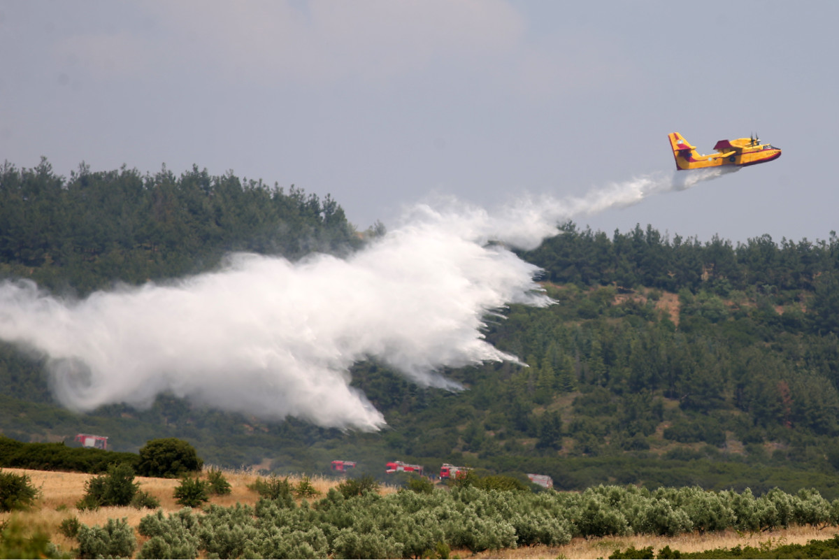 Φωτιά τώρα: Νέες εστίες σε Βοιωτία, Θεσσαλονίκη και Σέρρες – Οι κίνδυνοι της Κυριακής