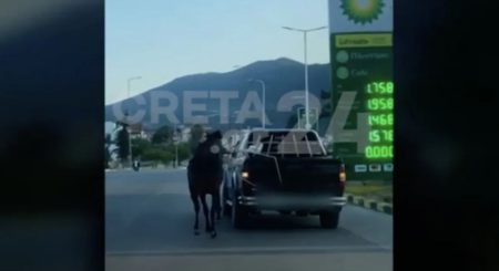 Κρήτη: Οργή για οδηγό που έσερνε άλογο με το αυτοκίνητό του