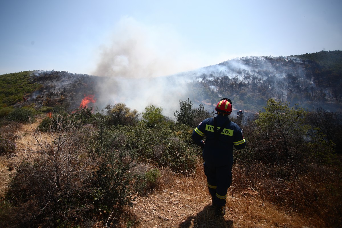 Φωτιά στην Ηλεία – Μήνυμα από το 112 για ετοιμότητα – Πυρκαγιά και στο Λιβάρτζι Αροανείας Καλαβρύτων