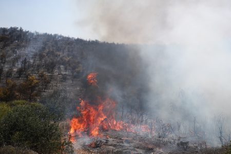 Φωτιά στη Μονεμβασία: Προκλήθηκε από αμέλεια, έγιναν δύο συλλήψεις