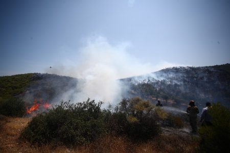 Φωτιά τώρα στους Δελφούς, κοντά σε ανεμογεννήτριες – Συνδράμουν κι εναέρια