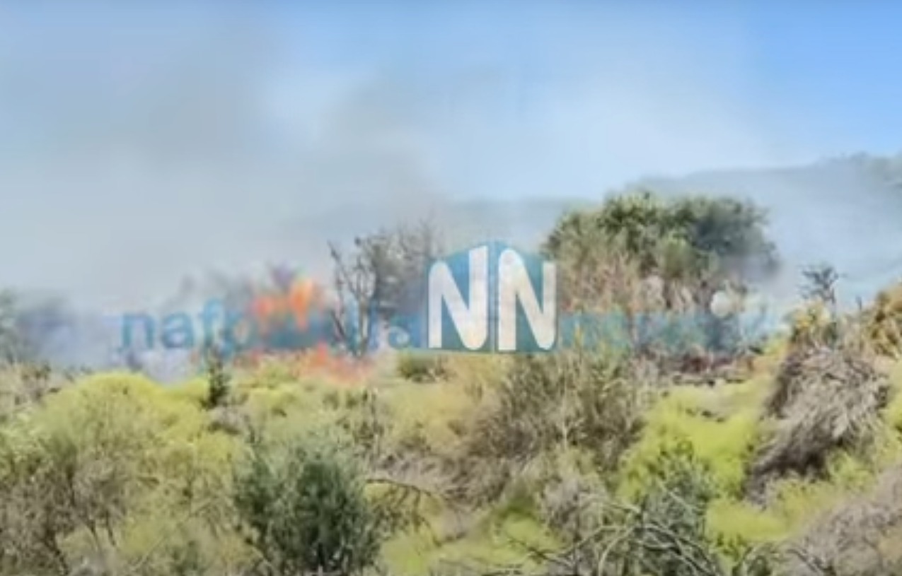 Φωτιά τώρα στην Ναύπακτο – Καίει δασική έκταση  στον Περιφερειακό