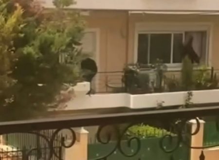 Βίντεο-ντοκουμέντο: Διαρρήκτες δρουν ανενόχλητοι μέρα μεσημέρι στη Νέα Κηφισιά